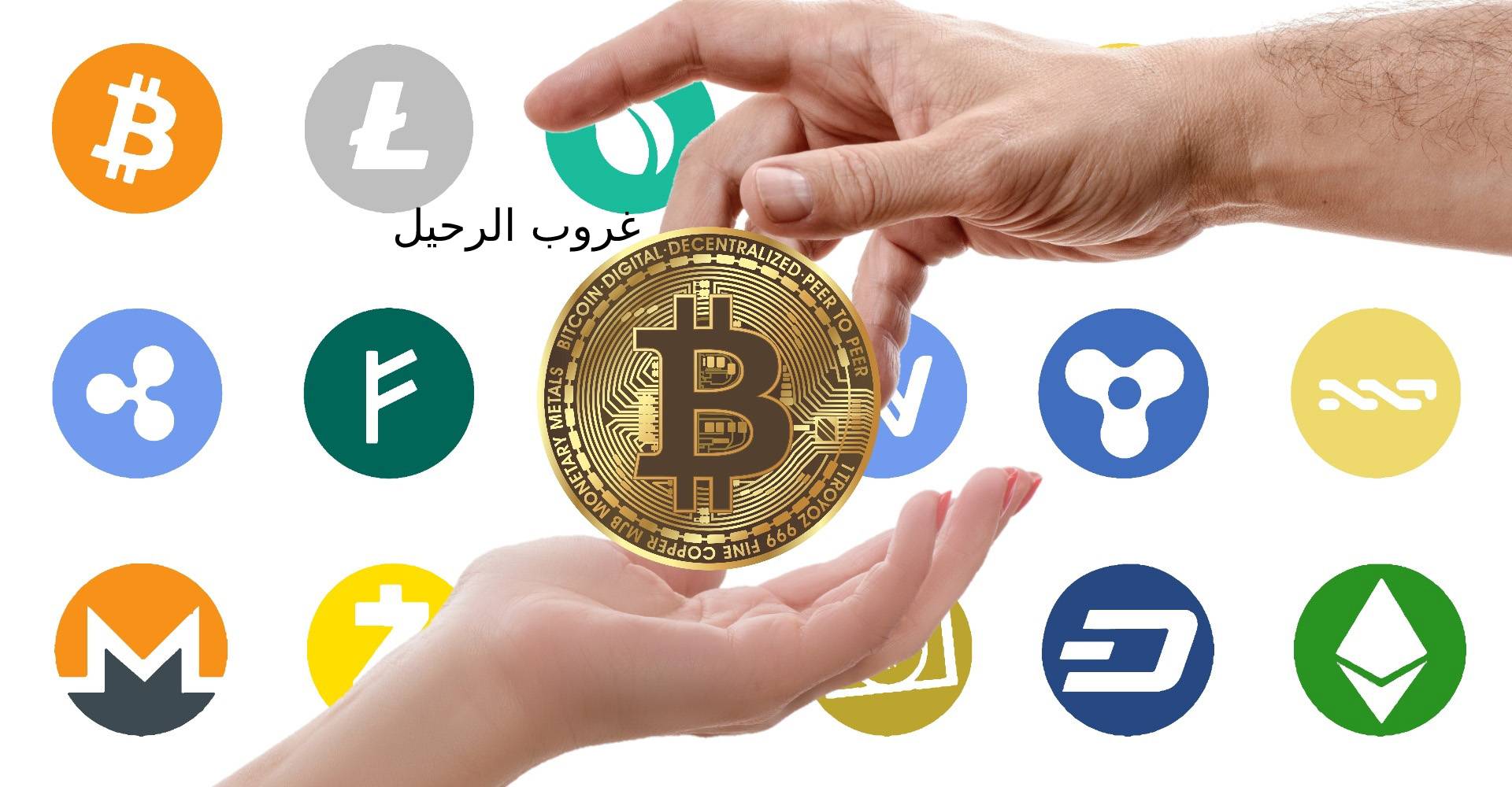 العملة الرقمية- وزيرة المالية تؤكد على ضرورة الإستفادة منها